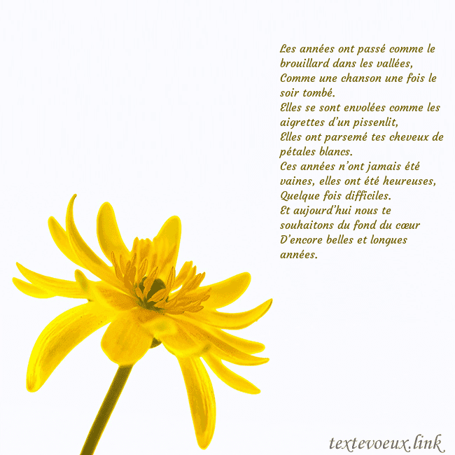 Carte de voeux avec fleur jaune