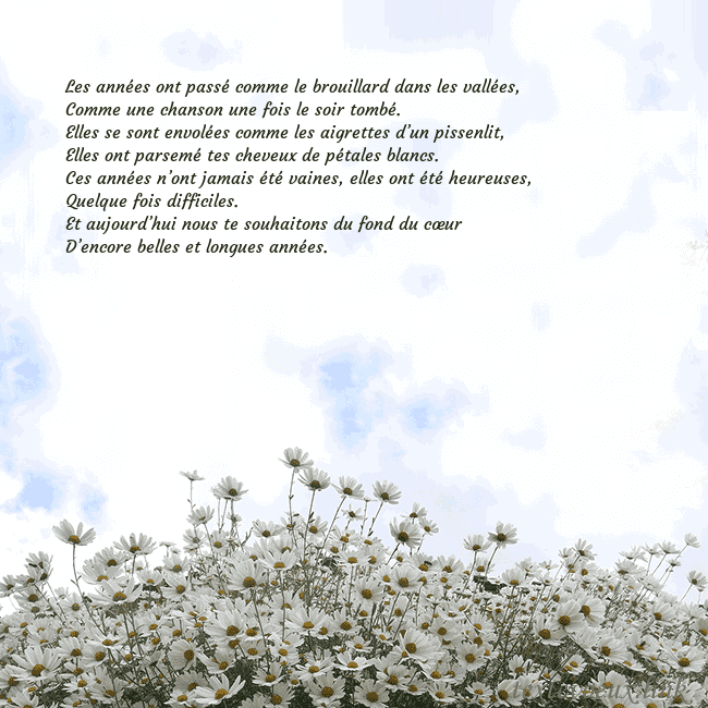 Carte de voeux avec marguerites