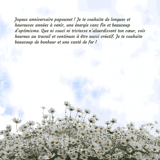 Carte de voeux avec marguerites