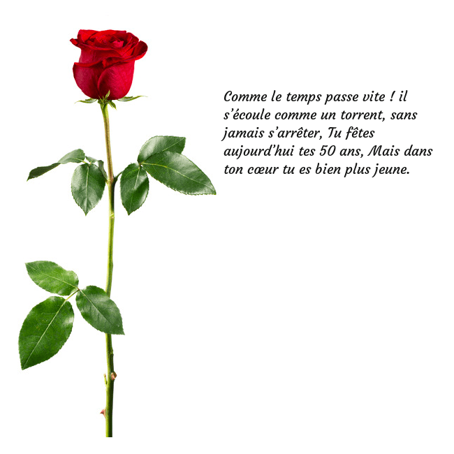 Carte de vœux avec une rose rouge