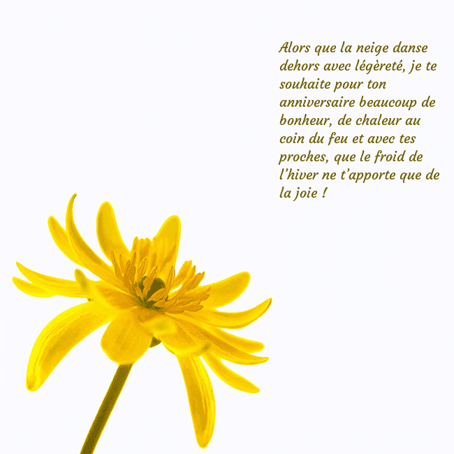 Carte de voeux avec fleur jaune