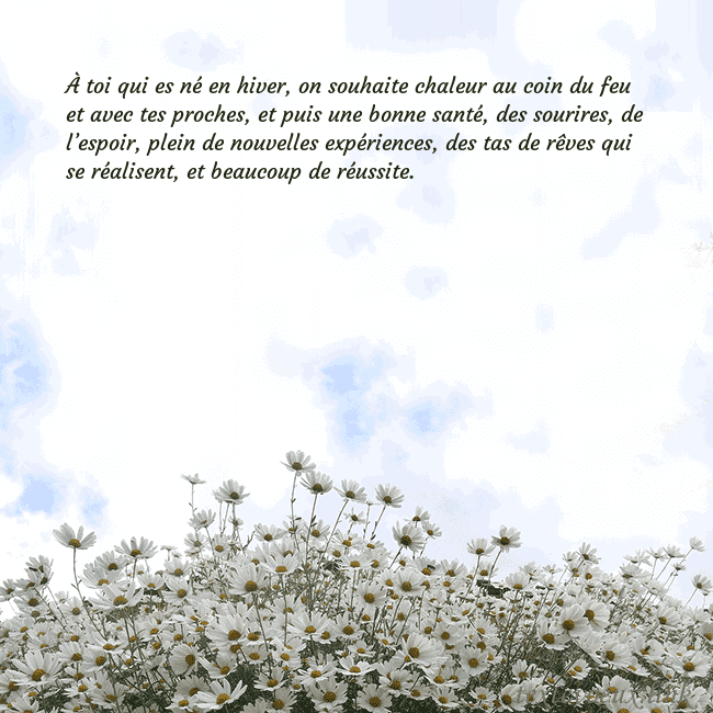 Carte de voeux avec marguerites