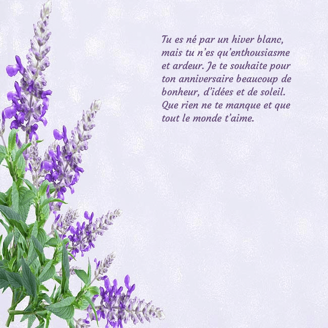 Carte d'anniversaire avec des lupins