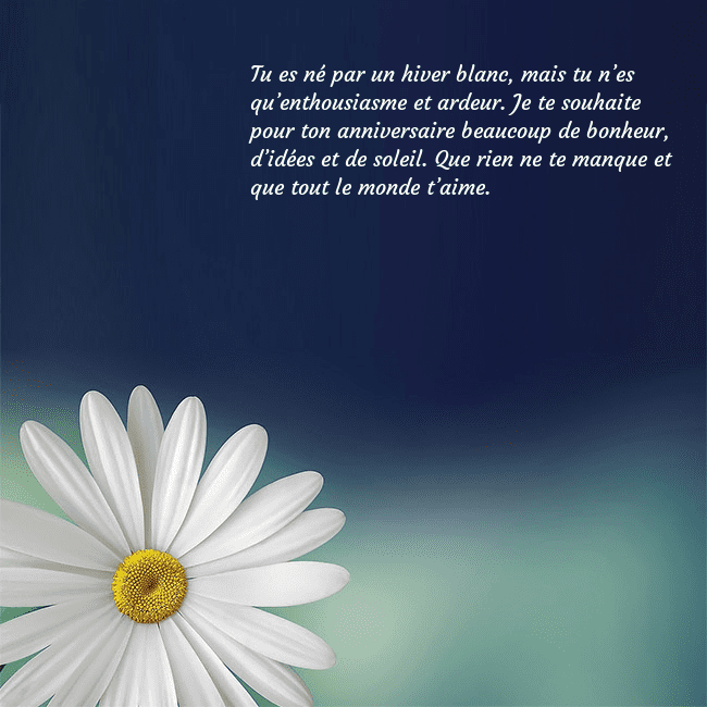 Carte postale avec une grande marguerite