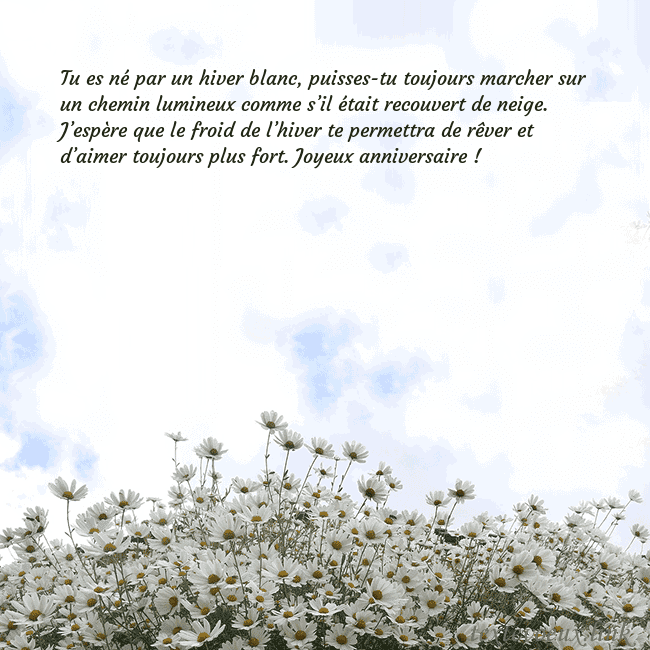 Carte de voeux avec marguerites