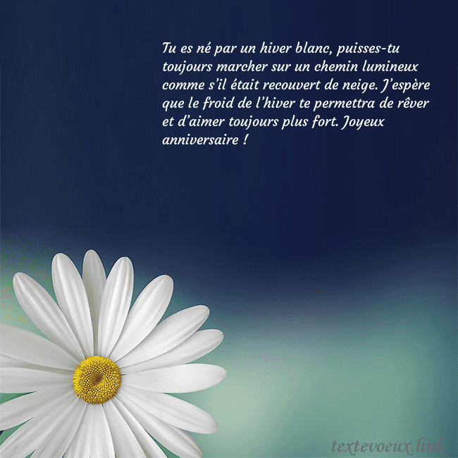 Carte postale avec une grande marguerite