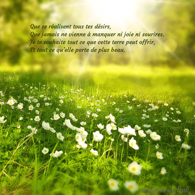 Carte électronique avec soleil et prairie