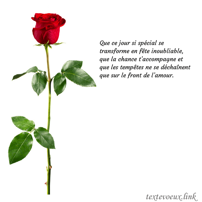 Carte de vœux avec une rose rouge