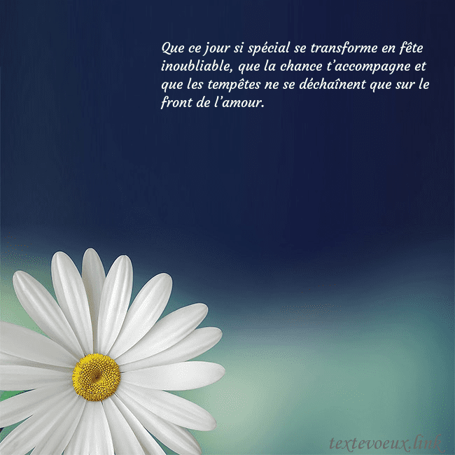 Carte postale avec une grande marguerite