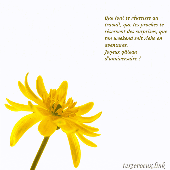 Carte de voeux avec fleur jaune