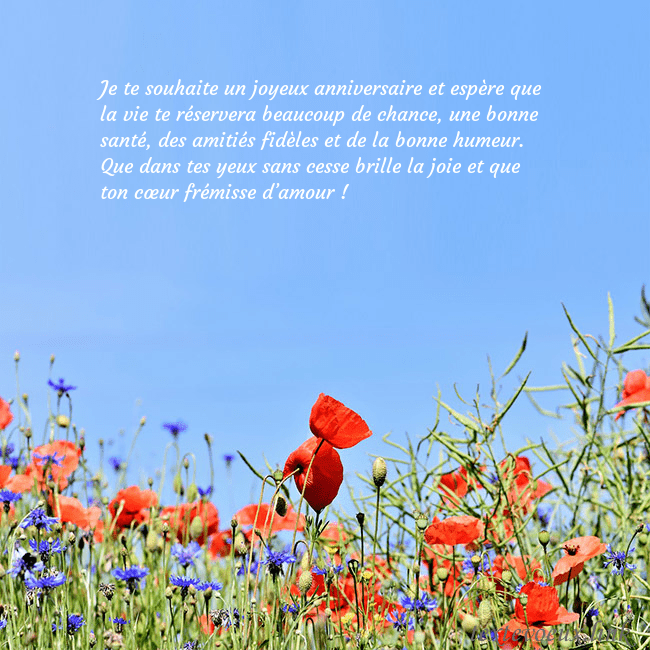 Carte d'anniversaire avec des coquelicots