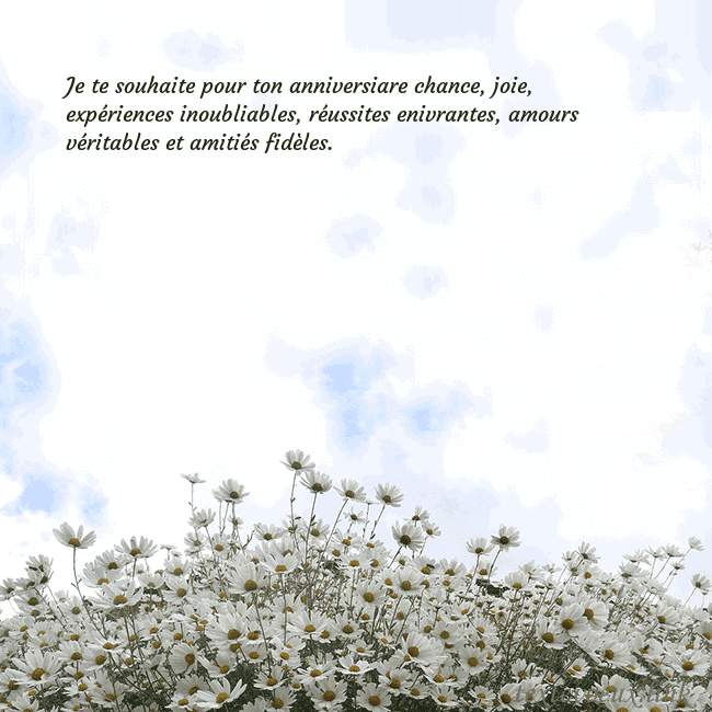 Carte de voeux avec marguerites
