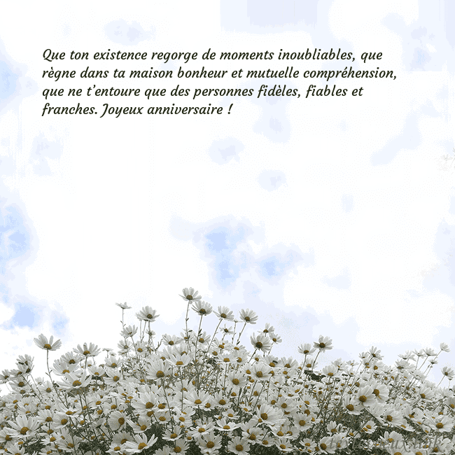 Carte de voeux avec marguerites