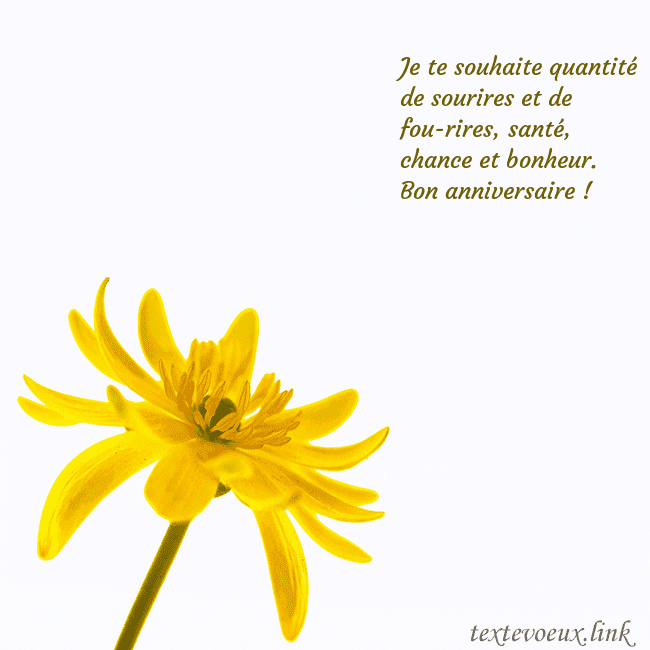 Carte de voeux avec fleur jaune