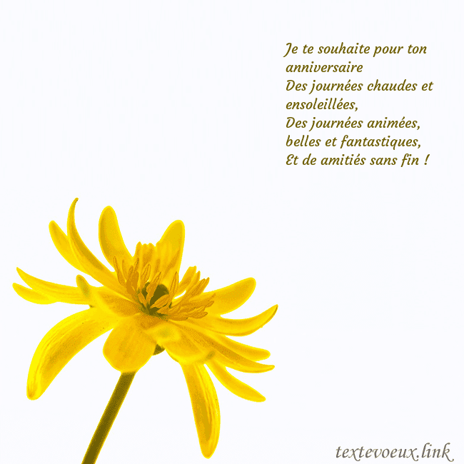 Carte de voeux avec fleur jaune