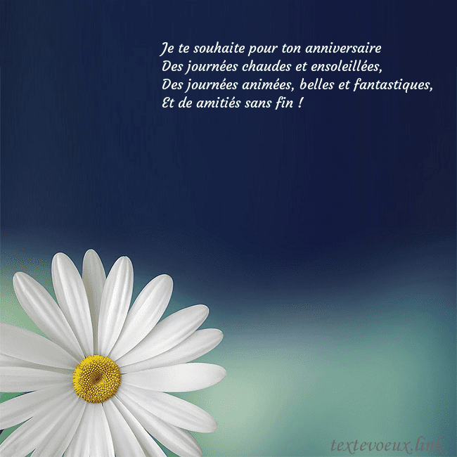 Carte postale avec une grande marguerite