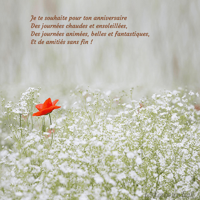 Carte électronique à fleurs blanches