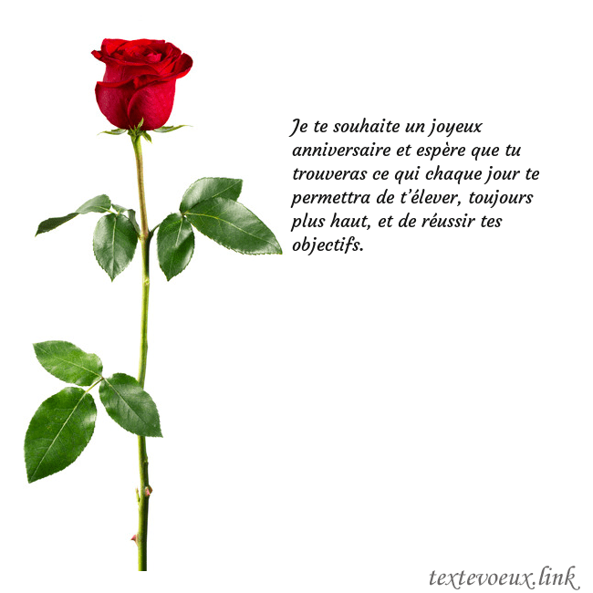 Carte de vœux avec une rose rouge