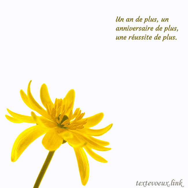 Carte de voeux avec fleur jaune
