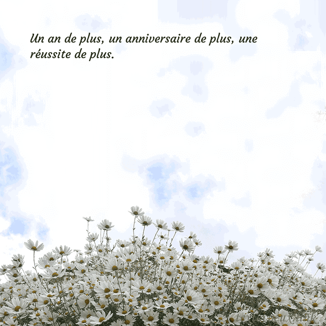 Carte de voeux avec marguerites