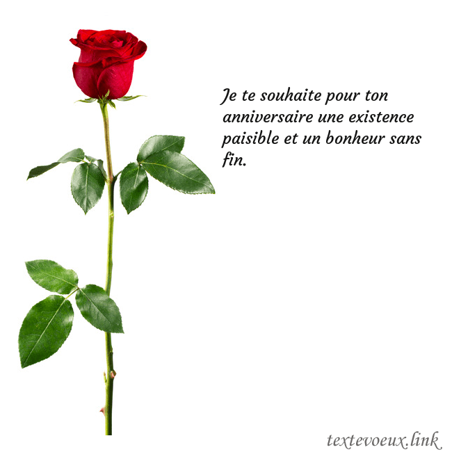 Carte de vœux avec une rose rouge
