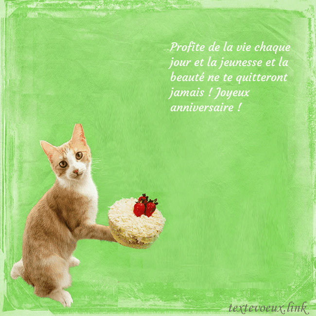 Carte d'anniversaire avec chat et gâteau