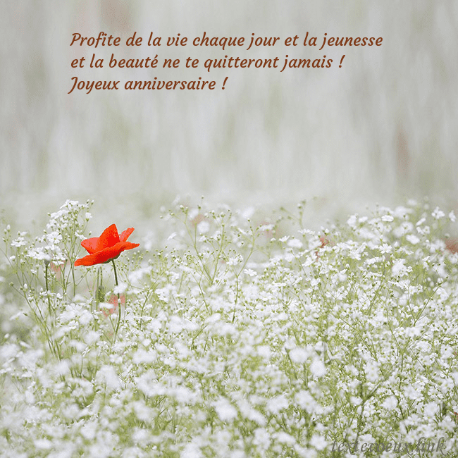 Carte électronique à fleurs blanches