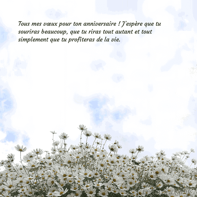 Carte de voeux avec marguerites