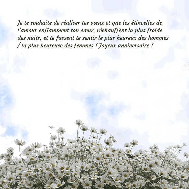Carte de voeux avec marguerites