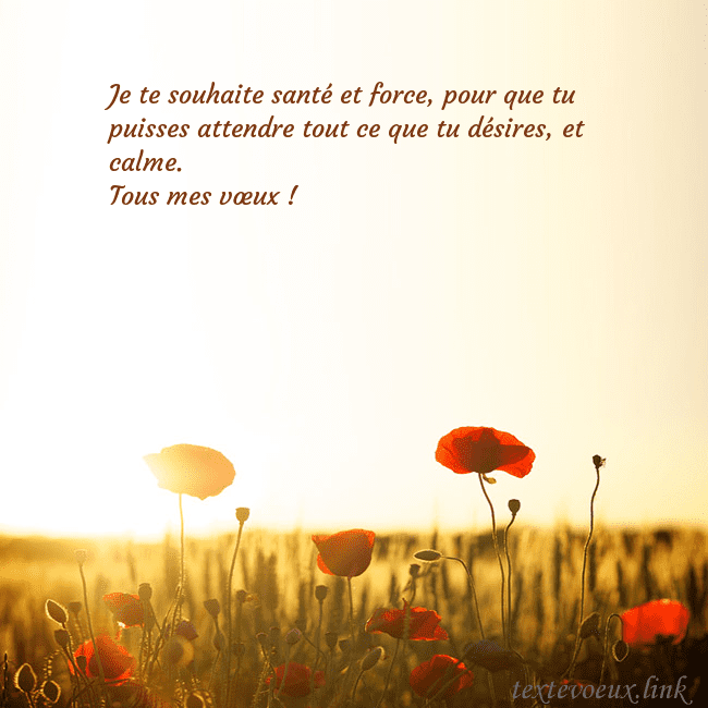 Carte postale électronique avec soleil et champ de coquelicots