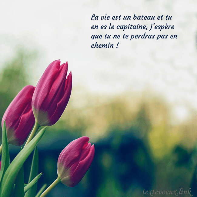 Carte d'anniversaire avec trois tulipes rouges