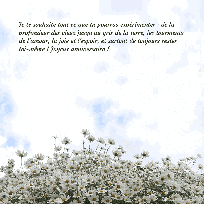 Carte de voeux avec marguerites