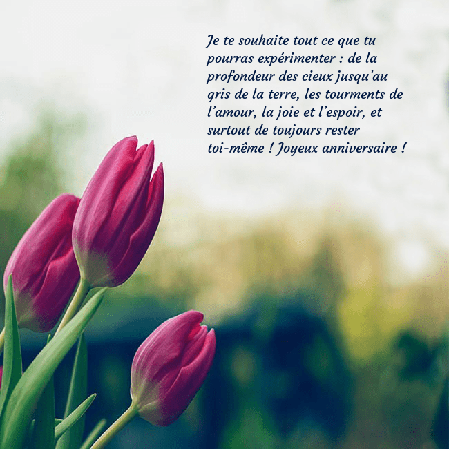 Carte d'anniversaire avec trois tulipes rouges