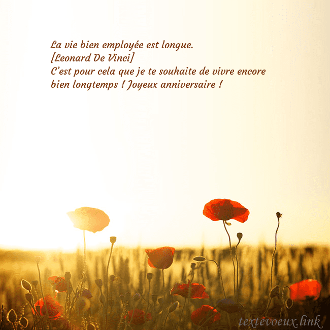 Carte postale électronique avec soleil et champ de coquelicots