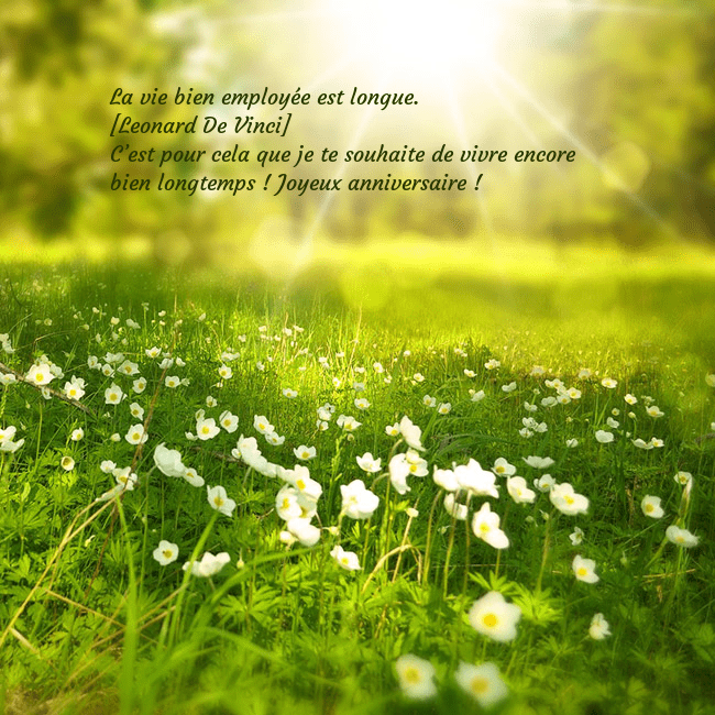 Carte électronique avec soleil et prairie