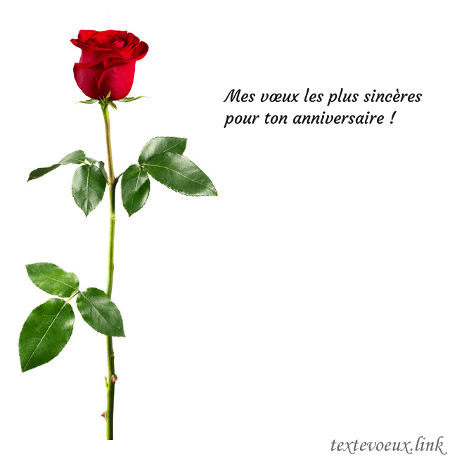 Carte de vœux avec une rose rouge