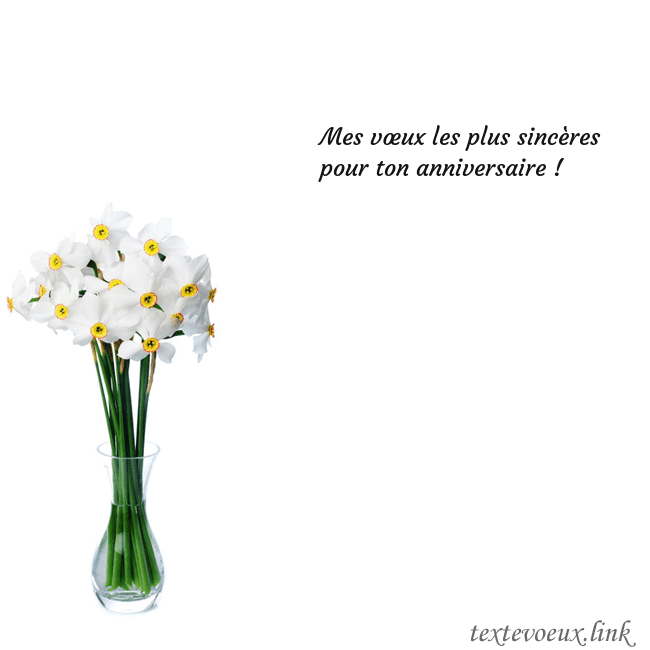 Carte de vœux avec des jonquilles