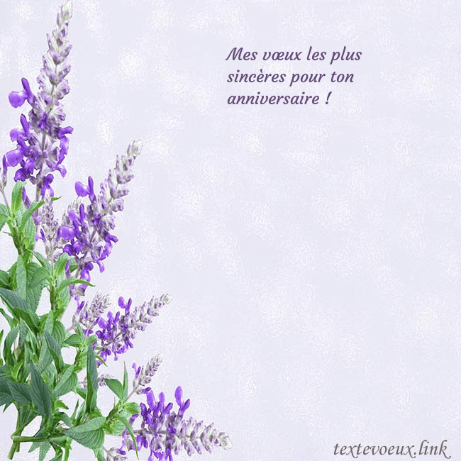 Carte d'anniversaire avec des lupins