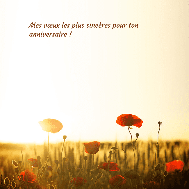 Carte postale électronique avec soleil et champ de coquelicots