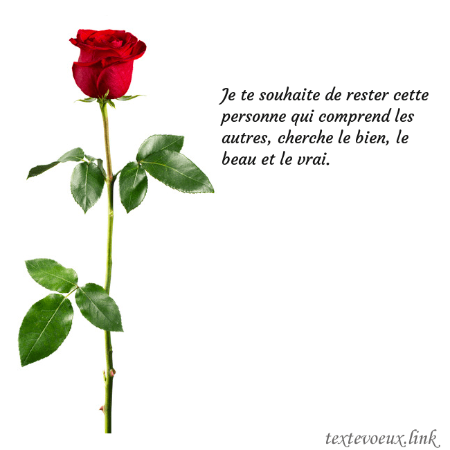 Carte de vœux avec une rose rouge