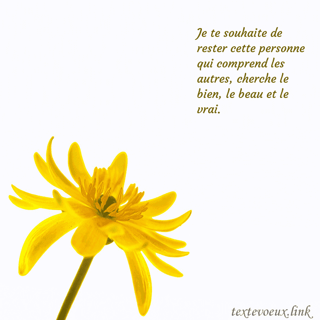 Carte de voeux avec fleur jaune