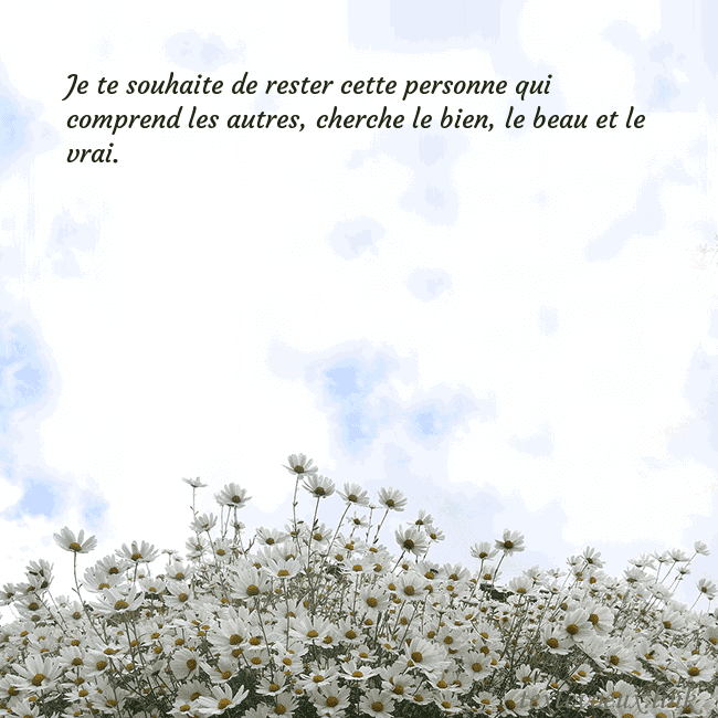 Carte de voeux avec marguerites