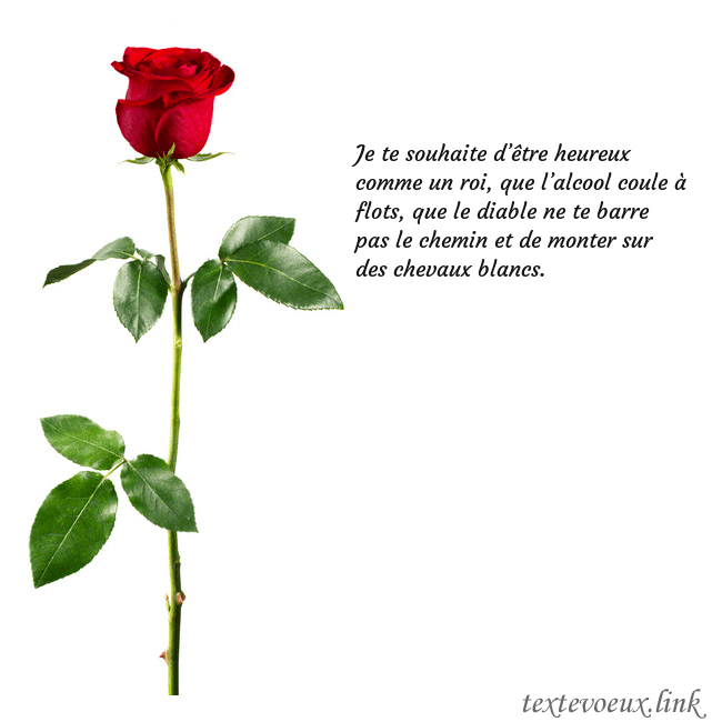 Carte de vœux avec une rose rouge