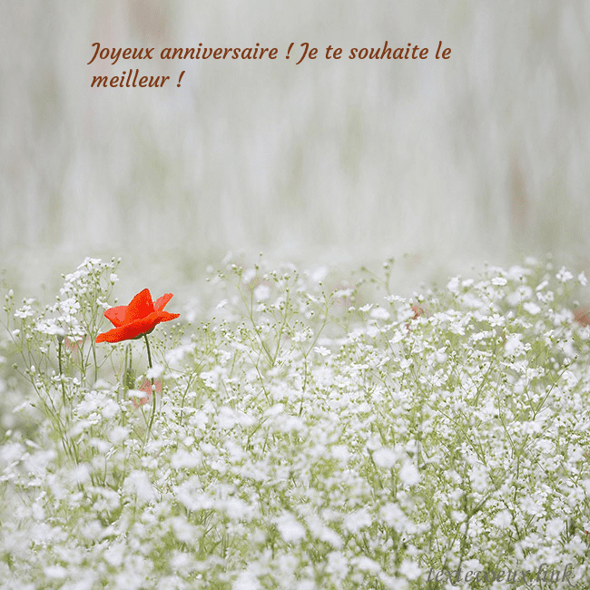Carte électronique à fleurs blanches