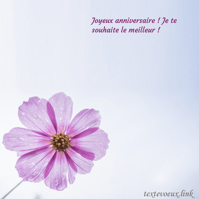 Carte électronique avec fleur violette