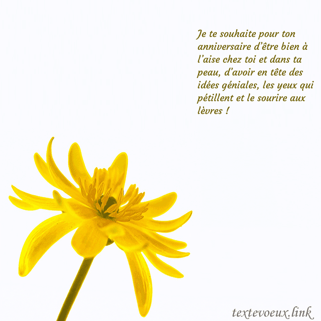 Carte de voeux avec fleur jaune