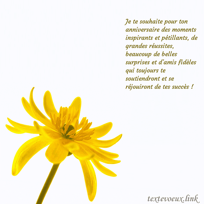 Carte de voeux avec fleur jaune