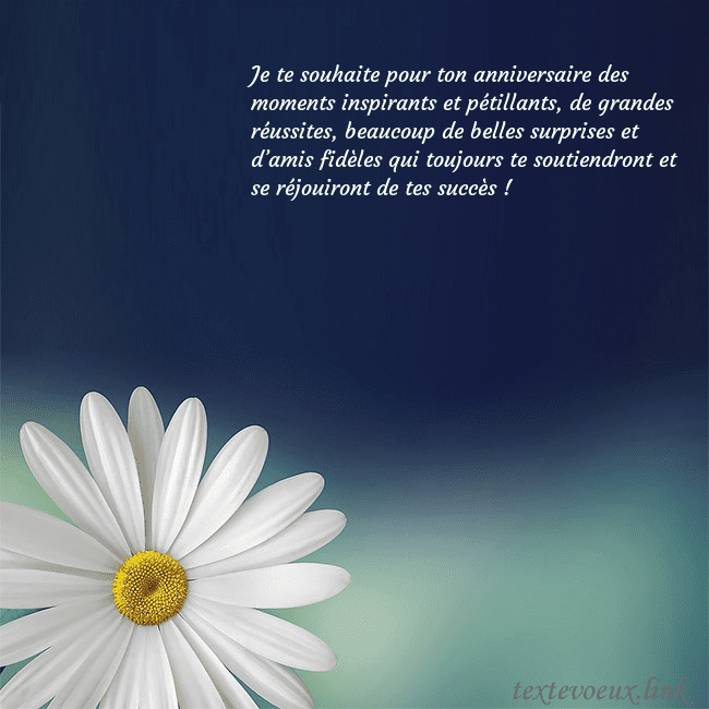 Carte postale avec une grande marguerite