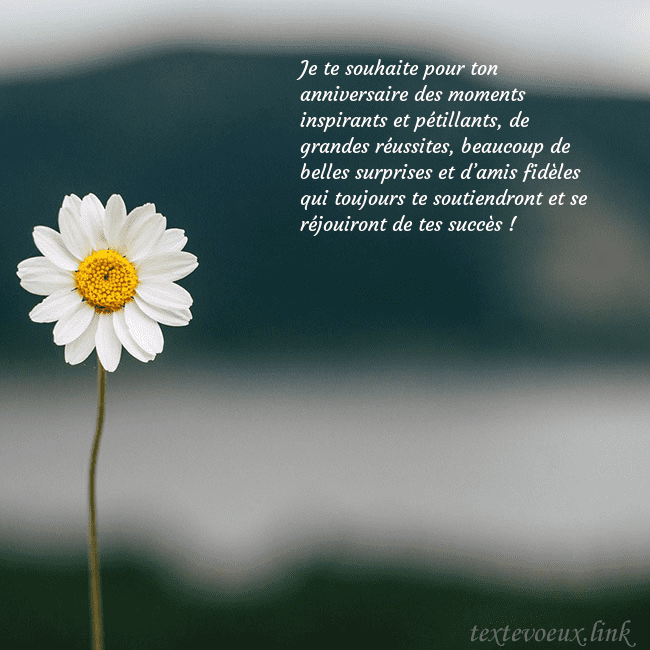 E-carte avec marguerite